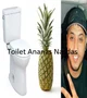 Toilet Ananas Nasdas