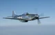 P-51 D Mustang