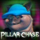 Pillar Chase