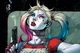 Comics Harley Quinn