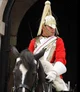 Queens Guard