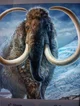 Woolly mammoth 