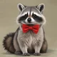 The raccoon cat 