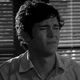 Seth cohen 