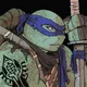 Leo TMNT Bayverse