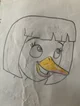 Cass Duck