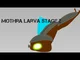 UV mothra larva 2