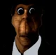 Obunga