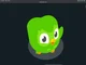 Duolingo bird