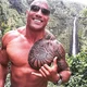 The Rock 