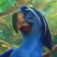 Rio 2 Roberto