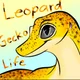leopord gecko life