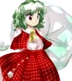 Yuuka Kazami