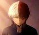 Shoto Todoroki 