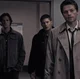 Team Free Will