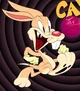 Caddy the cabbit 