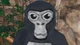 Monke