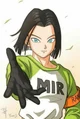 Android 17