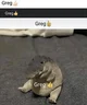 Greg