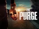 The Purge - Home