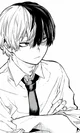Shoto Todoroki 