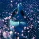 KFP Master Oogway