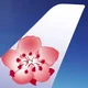 China airlines