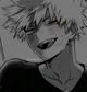 Roommate Bakugo 