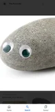 Your pet rock