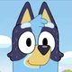 Bluey