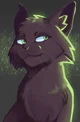 Hollyleaf