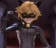 Chat Noir