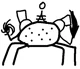 Doodle spider 