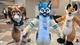 Shep Fursuit 