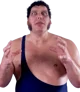 Andre the giant