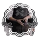 MR STEVENS