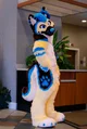 Shep Fursuit 