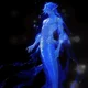 Mermaid bl 