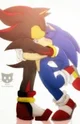Sonic x shadow meets
