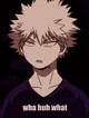 Katsuki Bakugo 
