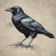 Crow