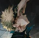 Bakugou Katsuki