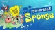 Ai Sponge