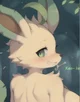Anthro leafeon
