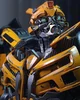 Bumblebee 