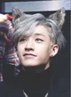 Wolf Bangchan 