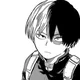 Shoto Todoroki