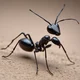 Ant