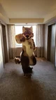 Wolfylion Fursuit 