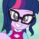 Sci-Twi